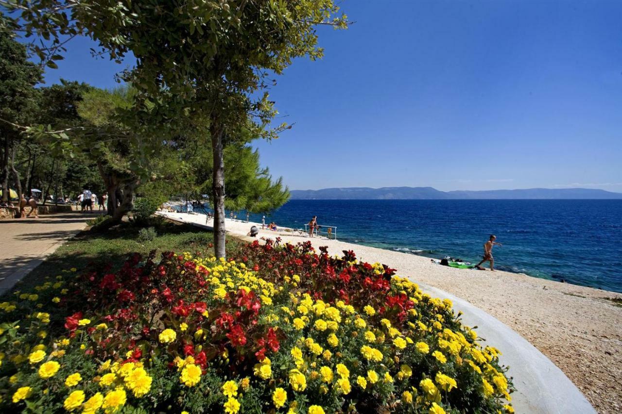 Queen Of Labin * Labin (Istria)